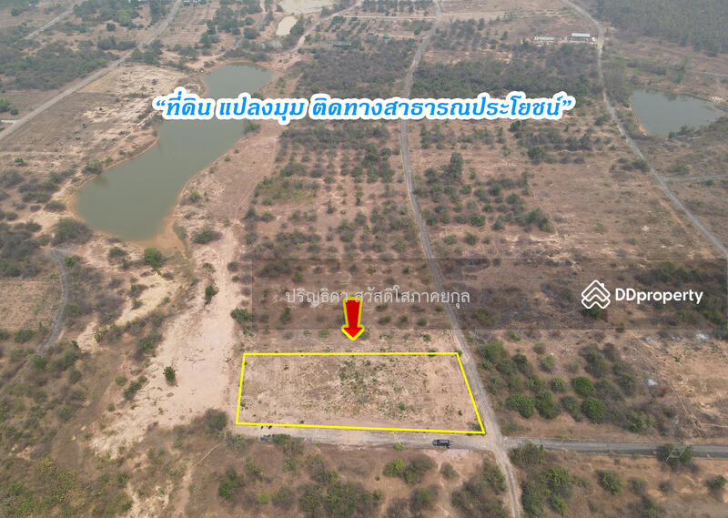 ขายที่ดิน หนองหนาม อำเภอเมืองลำพูน, ลำพูน, หนองหนาม, เมืองลำพูน, ลำพูน, 3,924 ตร.ม., ที่ดิน ขาย, โดย ปริญธิดา สวัสดิโสภาคยกุล, 11308177 - DDproperty.com