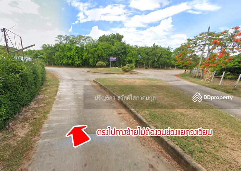 Land in Nong Nam, Mueang Lamphun, Lamphun, Nong Nam, Muang Lamphun, Lamphun, , 3,924 sqm, Land For Sale, by Parinthida Sawuddisopakaykul, 11308177 - DDproperty.com