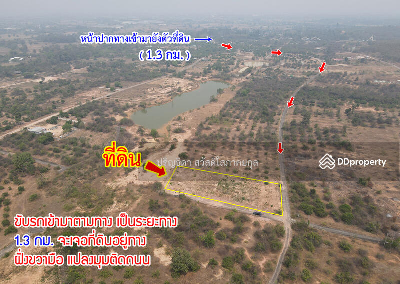 Land in Nong Nam, Mueang Lamphun, Lamphun, Nong Nam, Muang Lamphun, Lamphun, , 3,924 sqm, Land For Sale, by Parinthida Sawuddisopakaykul, 11308177 - DDproperty.com