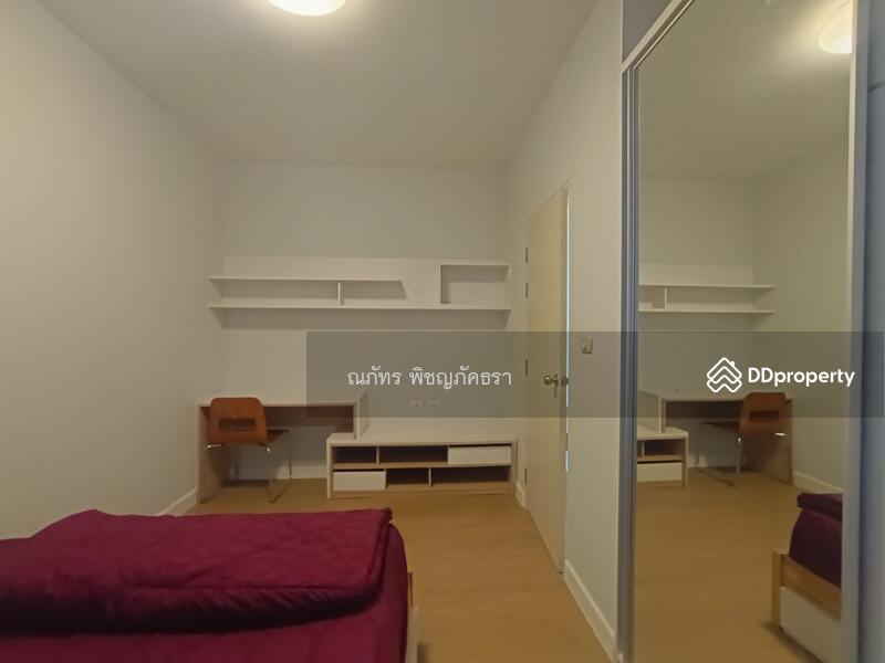 My Condo Sukhumvit 103 : มาย คอนโด สุขุมวิท 103, กรุงเทพ, สุขุมวิท 103, บางนา, กรุงเทพ, 35 ตร.ม., คอนโด ให้เช่า, โดย ณภัทร พิชญภัคธรา, 11310485 - DDproperty.com