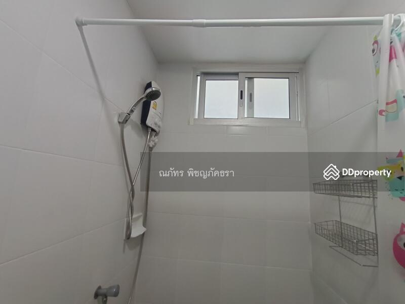 My Condo Sukhumvit 103 : มาย คอนโด สุขุมวิท 103, กรุงเทพ, สุขุมวิท 103, บางนา, กรุงเทพ, 35 ตร.ม., คอนโด ให้เช่า, โดย ณภัทร พิชญภัคธรา, 11310485 - DDproperty.com