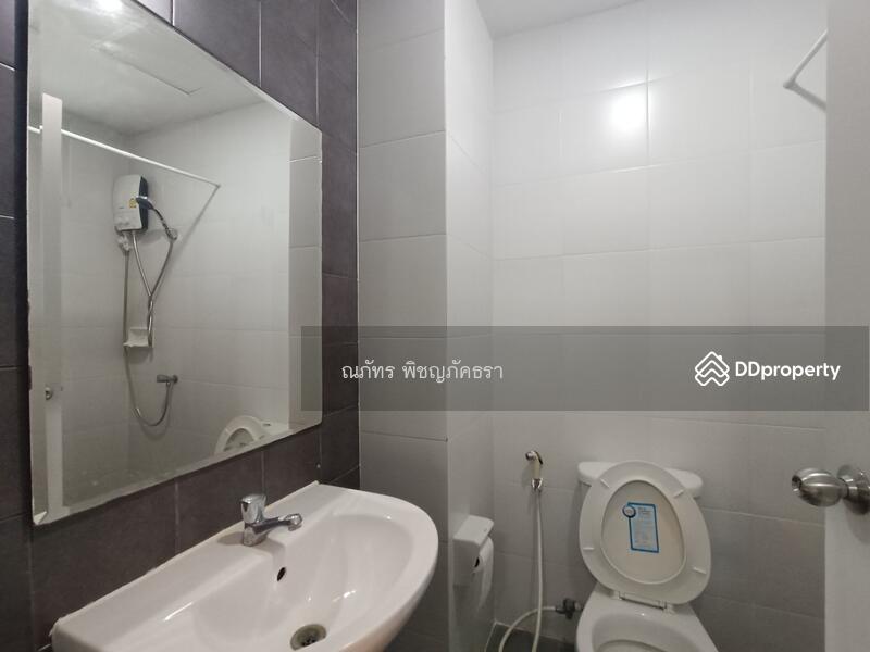 My Condo Sukhumvit 103 : มาย คอนโด สุขุมวิท 103, กรุงเทพ, สุขุมวิท 103, บางนา, กรุงเทพ, 35 ตร.ม., คอนโด ให้เช่า, โดย ณภัทร พิชญภัคธรา, 11310485 - DDproperty.com