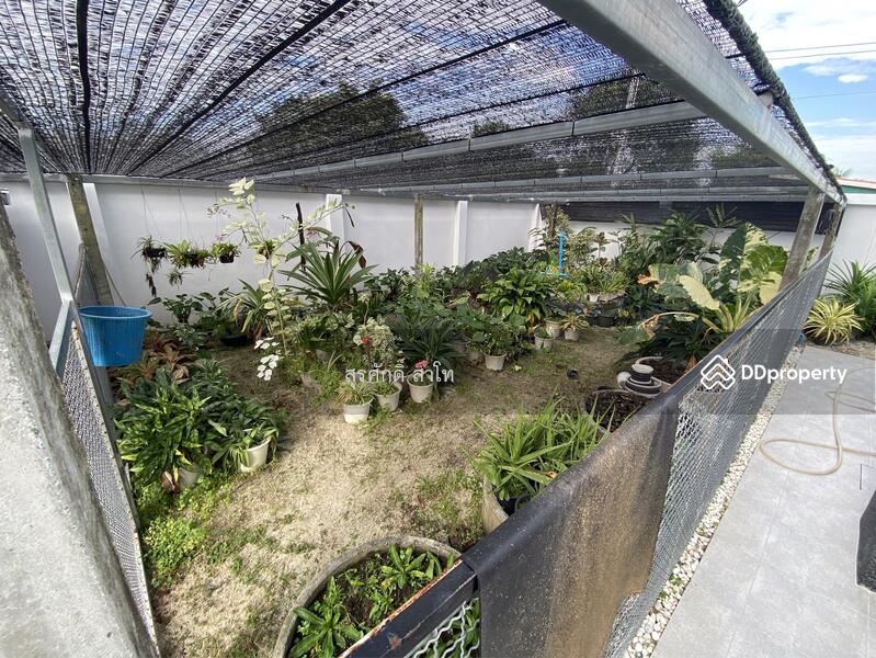 ขาย - บ้านเดี่ยว นาตาขวัญเมืองระยอง 151ตรว.3นอน 3ห้องน้ำ ตกแต่งครบ ห้องพระ ห้องทำงาน ขายด่วน 7.3 ล้านบาท, ระยอง