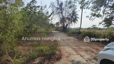 ขาย - ที่ดินจัดสรรในเขตเทศบาลลาดหลุมแก้ว จ.ปทุมธานี, ปทุมธานี