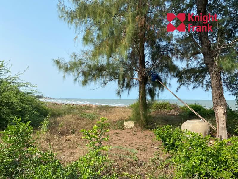 ขายที่ดิน ติดหาดปึกเตียน และติดทะเล เนื้อที่ 13 ไร่ จังหวัดเพชรบุรี, เพชรบุรี, ปึกเตียน, ท่ายาง, เพชรบุรี, 21,164 ตร.ม., ที่ดิน ขาย, โดย คุณพิริยา ศรีส่วน, 11311463 - DDproperty.com