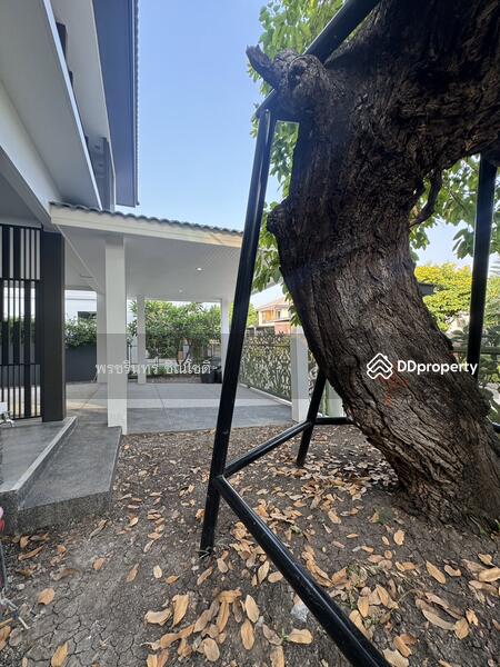 Mantana Kalapapruk-Wongwaen : มัณฑนา กัลปพฤกษ์ – วงแหวน, กรุงเทพ, 379 ถนนกาญจนาภิเษก, หลักสอง, บางแค, กรุงเทพ, 280 ตร.ม., บ้านเดี่ยว ให้เช่า, โดย ปรินทร์ญาดา ชิณโชติ, 11311717 - DDproperty.com