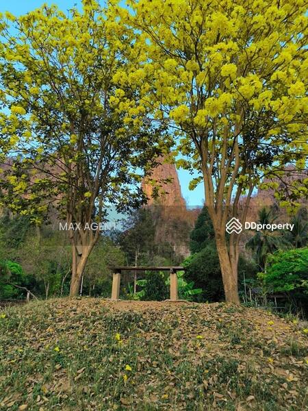 For Sale - Land For Sale Noen Maprang, Phitsanulok Near Tourist Attractions, Phitsanulok