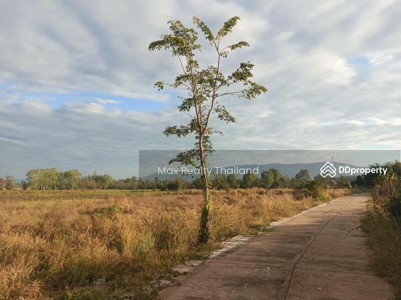 For Sale - Land For Sale Noen Maprang, Phitsanulok Near Tourist Attractions, Phitsanulok