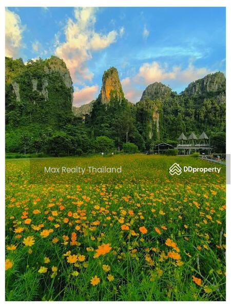 For Sale - Land For Sale Noen Maprang, Phitsanulok Near Tourist Attractions, Phitsanulok