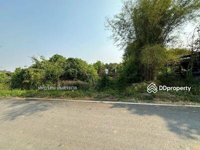 ขาย - ขายที่ดินกิ่วแล ติดลำเหมือง 213 ตร.ว. อ.สันป่าตอง เชียงใหม่, เชียงใหม่