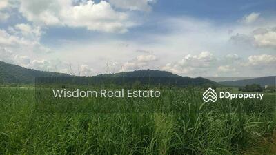 ขาย - ขายที่ดิน 842 ไร่ EEC ชลบุรี, ชลบุรี