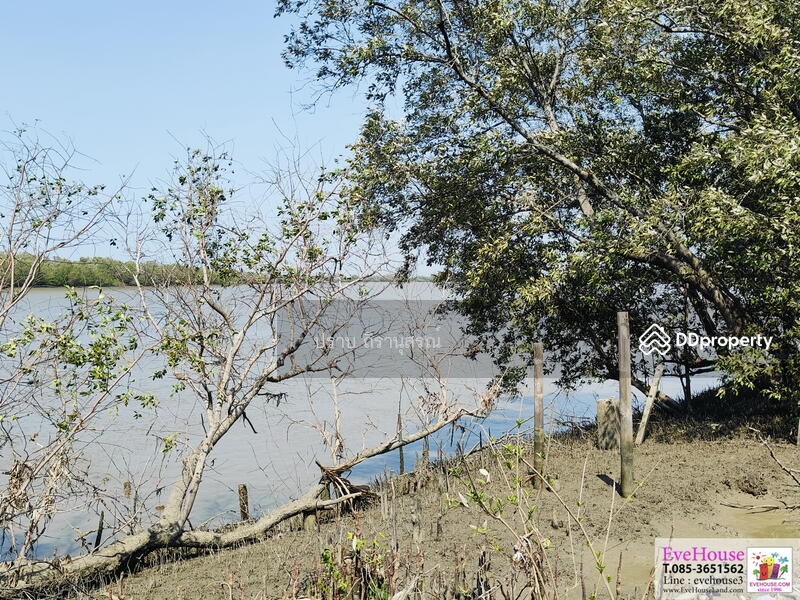 For Sale - Bang Pakong, Chachoengsao