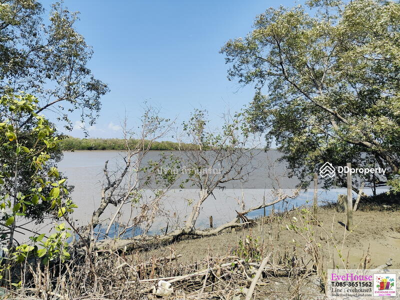 For Sale - Bang Pakong, Chachoengsao