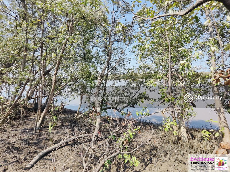 For Sale - Bang Pakong, Chachoengsao
