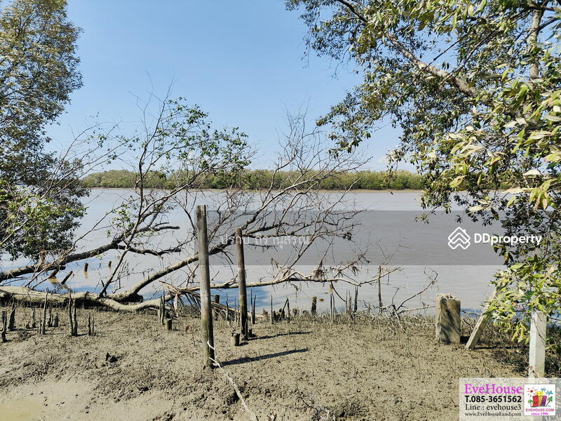 For Sale - Bang Pakong, Chachoengsao
