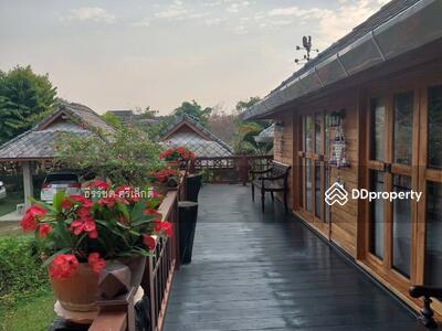 ขาย - ขายบ้านพร้อมที่ดิน 8 ไร่ 21 ตารางวา วิวสวย อากาศดี (เชียงดาว เชียงใหม่), เชียงใหม่