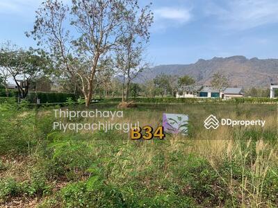 ขาย - Pirom @ Vineyard Khao Yai : ภิรมย์ @ วินยาร์ด เขาใหญ่, นครราชสีมา
