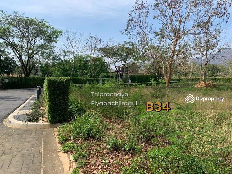 Pirom @ Vineyard Khao Yai, Nakhon Ratchasima, 234 Unnamed Road, Phyayen, Pak Chong, Nakhon Ratchasima, , 13,076 sqm, Land For Sale, by Thiprachaya Piyapachjiragul, 11317261 - DDproperty.com
