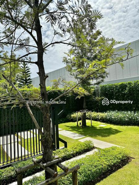 Nantawan Pinklao-Kanchana : นันทวัน ปิ่นเกล้า - กาญจนา, กรุงเทพ, 99 ถนนอัศวพิเชษฐ์, บางระมาด, ตลิ่งชัน, กรุงเทพ, 304 ตร.ม., บ้านเดี่ยว ให้เช่า, โดย รัฐพล ศิวาโมกข์, 11317654 - DDproperty.com