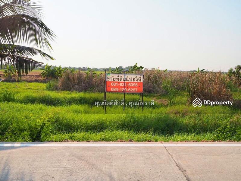 For Sale - ขายที่ดิน บางหลวง เมืองปทุมธานีปทุมธานี ใกล้ถนนราชพฤกษ์ ถนนกาญจนาภิเษก และใกล้วัดราษฎร์ศรัทธาทำ, Pathum Thani