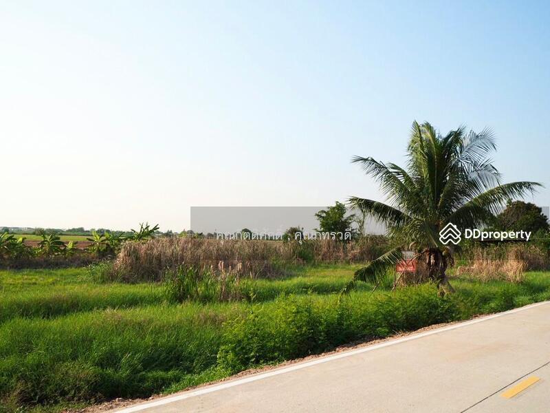 For Sale - ขายที่ดิน บางหลวง เมืองปทุมธานีปทุมธานี ใกล้ถนนราชพฤกษ์ ถนนกาญจนาภิเษก และใกล้วัดราษฎร์ศรัทธาทำ, Pathum Thani