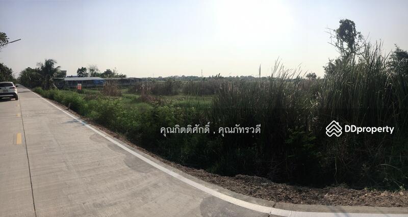 For Sale - ขายที่ดิน บางหลวง เมืองปทุมธานีปทุมธานี ใกล้ถนนราชพฤกษ์ ถนนกาญจนาภิเษก และใกล้วัดราษฎร์ศรัทธาทำ, Pathum Thani