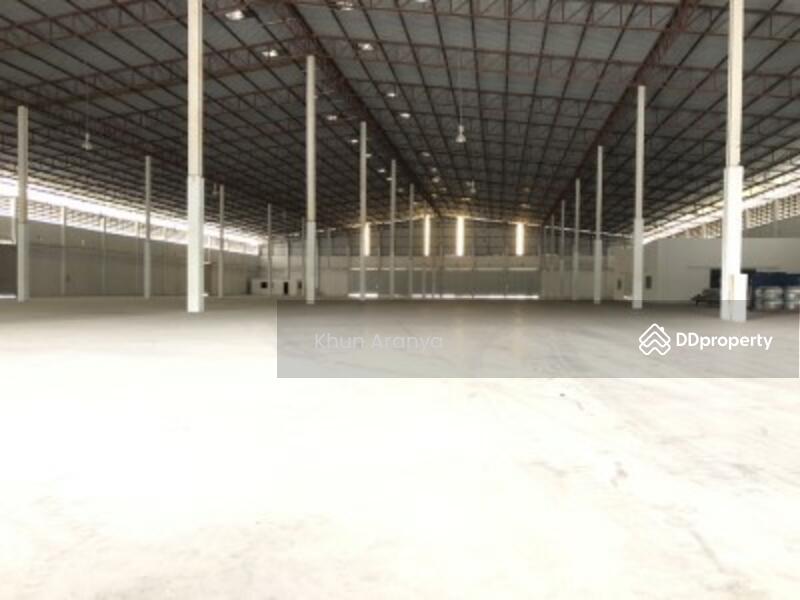 For Rent - THE FOCUS CONDOMINIUM ศรีราชา, Chon Buri