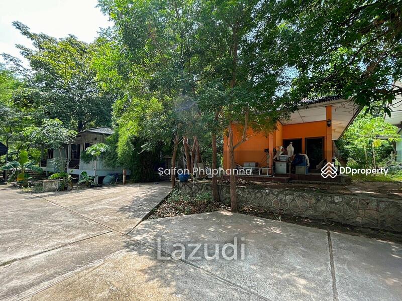Stand alone house, Prachuap Khiri Khan, Hua Hin, Hua Hin, Prachuap Khiri Khan, 5 Bedrooms, 250 sqm, Single Detached House For Sale, by Saifon Phuphanna, 11318896 - DDproperty.com