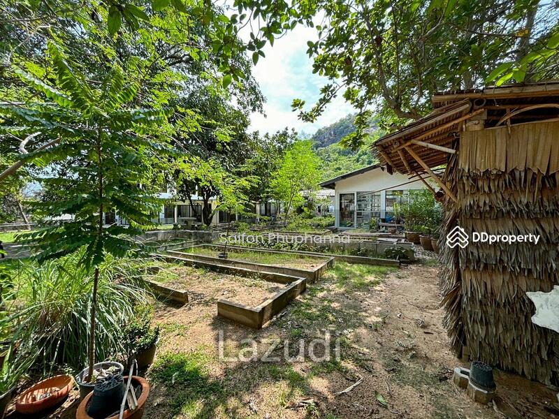 Stand alone house, Prachuap Khiri Khan, Hua Hin, Hua Hin, Prachuap Khiri Khan, 5 Bedrooms, 250 sqm, Single Detached House For Sale, by Saifon Phuphanna, 11318896 - DDproperty.com