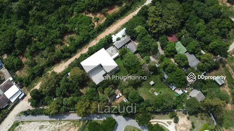 ขาย - บ้านเดี่ยว, ประจวบคีรีขันธ์