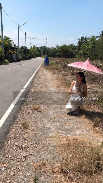 ขาย - อำเภอเมืองสมุทรสงคราม, สมุทรสงคราม