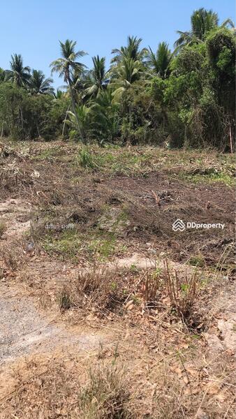 ขาย - อำเภอเมืองสมุทรสงคราม, สมุทรสงคราม