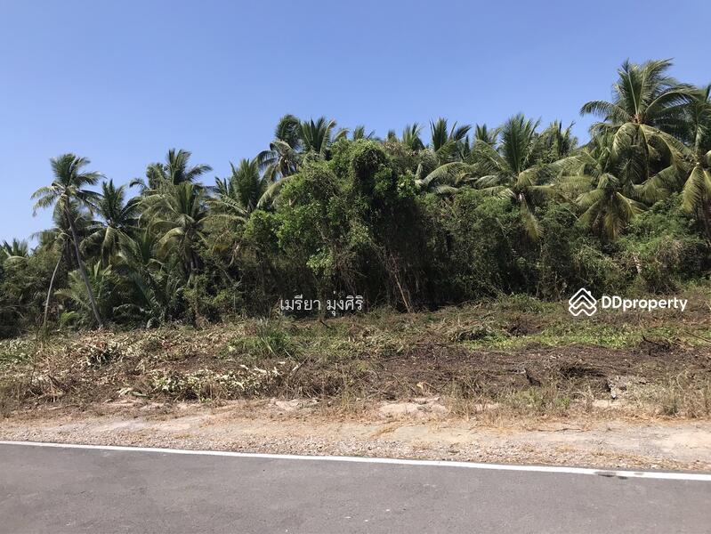 ขาย - อำเภอเมืองสมุทรสงคราม, สมุทรสงคราม