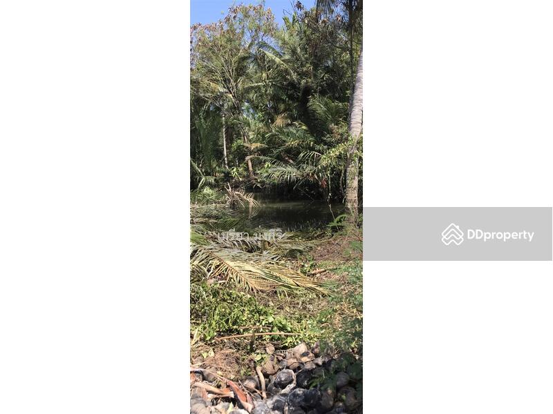 ขาย - อำเภอเมืองสมุทรสงคราม, สมุทรสงคราม