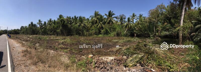 ขาย - อำเภอเมืองสมุทรสงคราม, สมุทรสงคราม