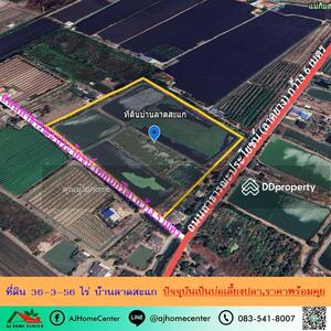 ขาย - ที่ดิน 36-3-56 ไร่ บ้านลาดสะแก ดอนตูม นครปฐม ปัจจุบันเป็นบ่อเลี้ยงปลา ราคาพร้อมคุย, นครปฐม