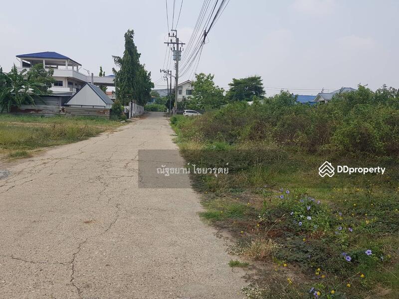 ขายที่ดินในซอย เทศบาล 11 หรือซอยจันทร์ทองเอี่ยม 11/4 ห่างจากสถานีรถไฟฟ้าบางใหญ๋ประมาณ 800 เมตร, Nonthaburi, จันทร์ทองเอี่ยม, Bang Rak Yai, Bang Bua Thong, Nonthaburi, , 1,384 sqm, Land For Sale, by ณัฐธยาน์ ไชยวรุตย์, 11320660 - DDproperty.com