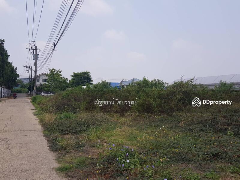 ขายที่ดินในซอย เทศบาล 11 หรือซอยจันทร์ทองเอี่ยม 11/4 ห่างจากสถานีรถไฟฟ้าบางใหญ๋ประมาณ 800 เมตร, นนทบุรี, จันทร์ทองเอี่ยม, บางรักใหญ่, บางบัวทอง, นนทบุรี, 1,384 ตร.ม., ที่ดิน ขาย, โดย ณัฐธยาน์ ไชยวรุตย์, 11320660 - DDproperty.com