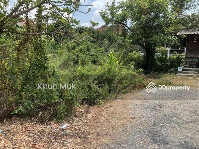 ขาย - ที่ดินเปล่าซอยรังสิต-ปทุมธานี 43, ปทุมธานี