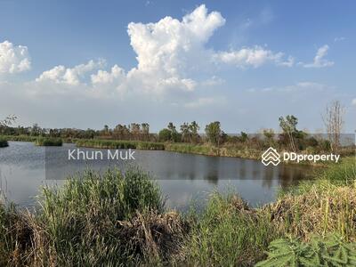 ขาย - ขายที่ดินเปล่าที่ดินเปล่าอ.บางไทร จ.พระนครศรีอยุธยา, พระนครศรีอยุธยา