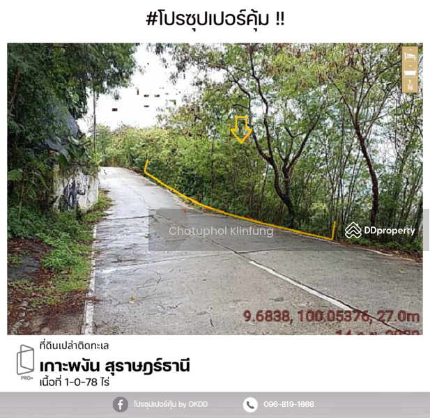 ขาย - ที่ดิน เกาะพงัน,สุราษฎร์ธานี, สุราษฎร์ธานี
