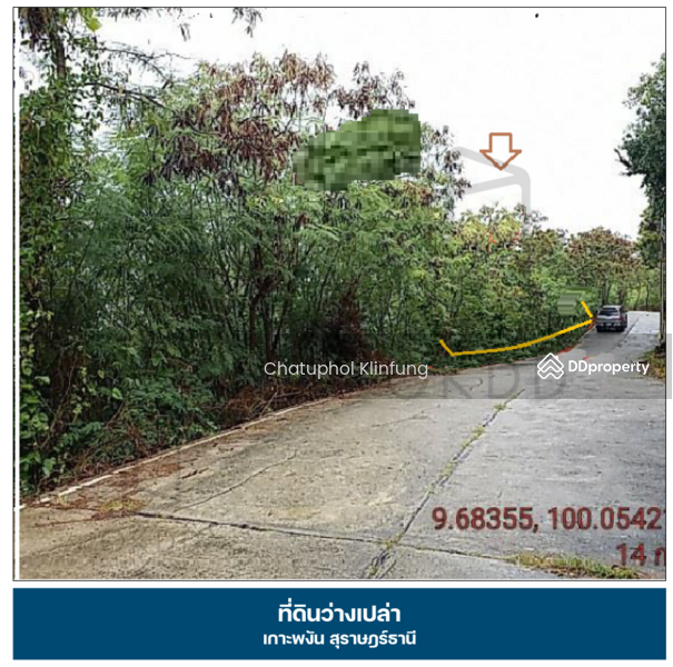 ขาย - ที่ดิน เกาะพงัน,สุราษฎร์ธานี, สุราษฎร์ธานี