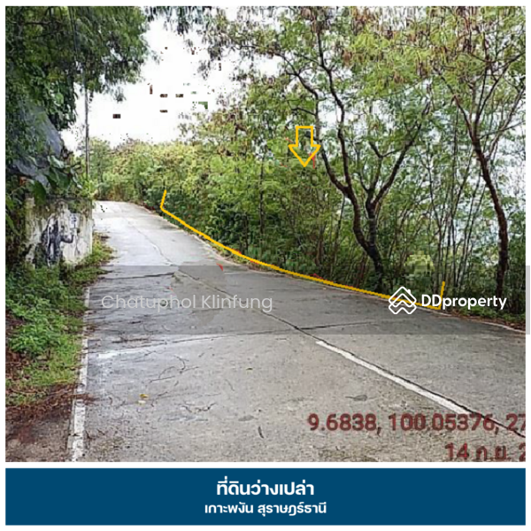 ขาย - ที่ดิน เกาะพงัน,สุราษฎร์ธานี, สุราษฎร์ธานี