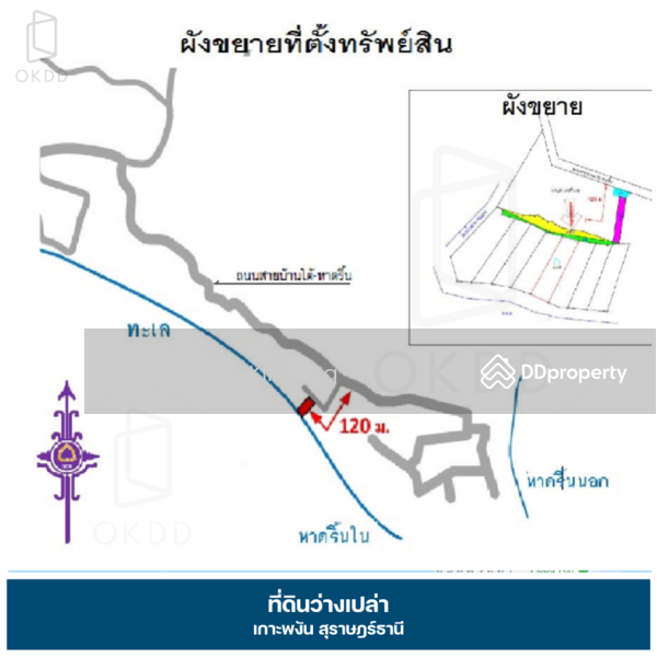 ขาย - ที่ดิน เกาะพงัน,สุราษฎร์ธานี, สุราษฎร์ธานี