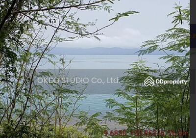 ขาย - ที่ดิน เกาะพงัน,สุราษฎร์ธานี, สุราษฎร์ธานี