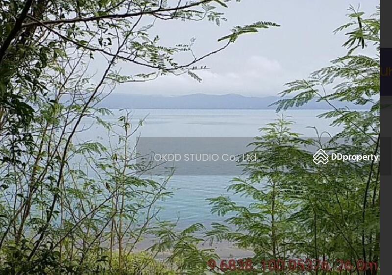 ขาย - ที่ดิน เกาะพงัน,สุราษฎร์ธานี, สุราษฎร์ธานี