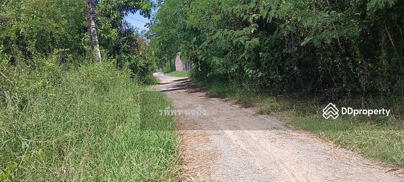 ขายที่ดิน ตำบลดาวเรือง อำเถอเมือง จ. สระบุรี, สระบุรี, ดาวเรือง, เมืองสระบุรี, สระบุรี, 8,772 ตร.ม., ที่ดิน ขาย, โดย รพีพร แซ่อึ้ง, 11321833 - DDproperty.com
