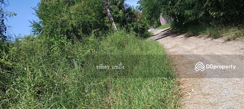 Land for sale, Saraburi, Dao Ruang, Muang Saraburi, Saraburi, , 8,772 sqm, Land For Sale, by รพีพร แซ่อึ้ง, 11321833 - DDproperty.com