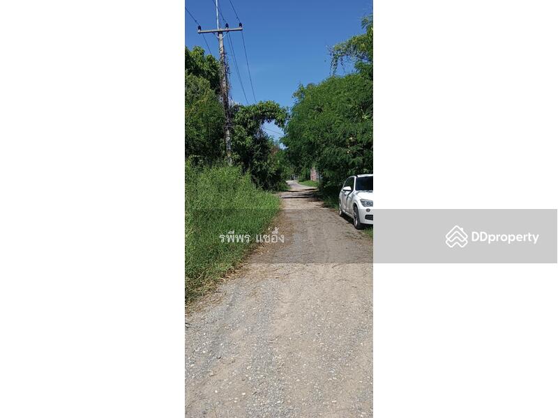Land for sale, Saraburi, Dao Ruang, Muang Saraburi, Saraburi, , 8,772 sqm, Land For Sale, by รพีพร แซ่อึ้ง, 11321833 - DDproperty.com