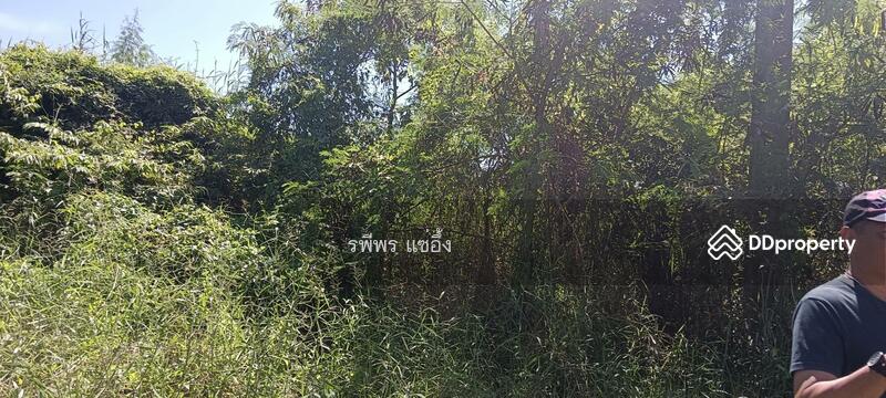 Land for sale, Saraburi, Dao Ruang, Muang Saraburi, Saraburi, , 8,772 sqm, Land For Sale, by รพีพร แซ่อึ้ง, 11321833 - DDproperty.com
